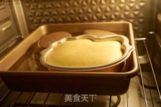 无水无油酸奶蛋糕的做法步骤：9