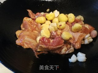 栗子炆鸡的做法步骤：4