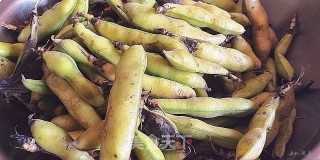 葱香嫩胡豆的做法步骤：1