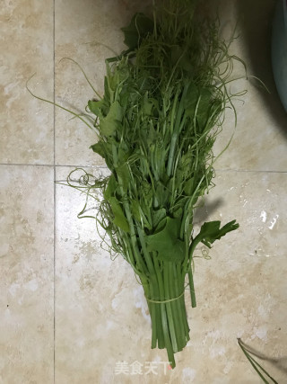蒜头炒南瓜苗的做法步骤：1