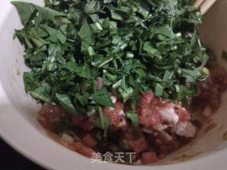 婆婆丁馅生煎饺的做法步骤：3