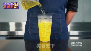 34秒教你学会做菠萝香柠四季春的做法步骤：8
