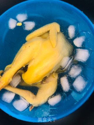 零厨艺版  酒店白切鸡的做法步骤：10