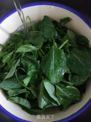 杏鲍菇炒芥菜苗的做法步骤：4