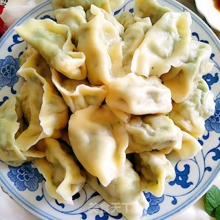 韭菜猪肉馅水饺的做法步骤：17