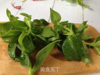 鸡肉油醋沙拉的做法步骤：4