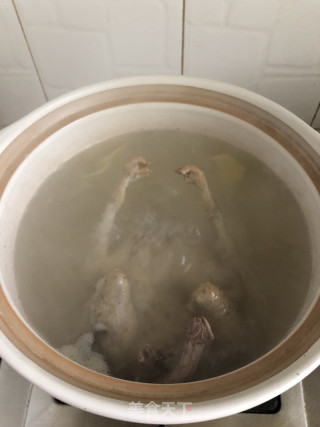 清炖莲子乳鸽汤的做法步骤：3