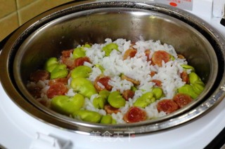 蚕豆焖饭的做法步骤：10