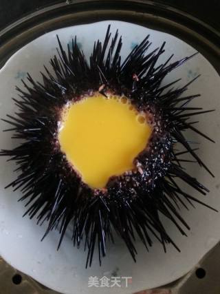 海胆蒸蛋的做法步骤：4