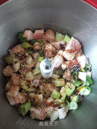 豆角肉包的做法步骤：3