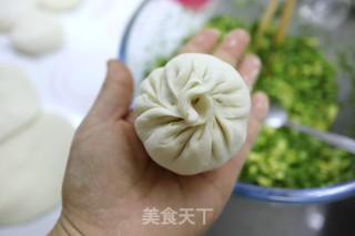 鸡蛋茴香包子的做法步骤：10