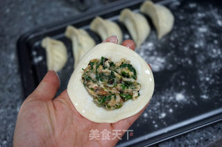 荠菜饺子的做法步骤：12