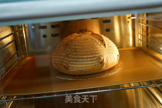 红糖全麦面包的做法步骤：20
