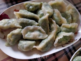 韭菜虾仁饺子的做法步骤：14
