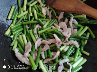 蒜毫炒肉的做法步骤：6