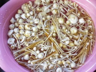 鸡蛋炒金针菇的做法步骤：3