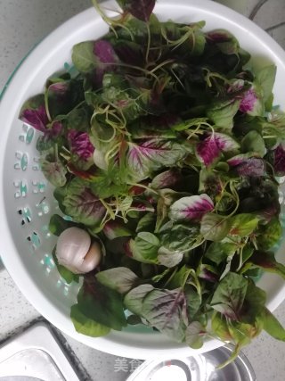 蒜片苋菜的做法步骤：1