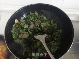 蒜片苋菜的做法步骤：6