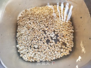 苹果瘦身汤的做法步骤：2