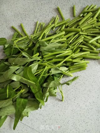 清炒空心菜的做法步骤：3