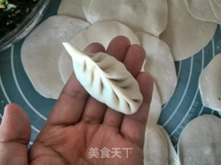煎冰花饺子的做法步骤：6
