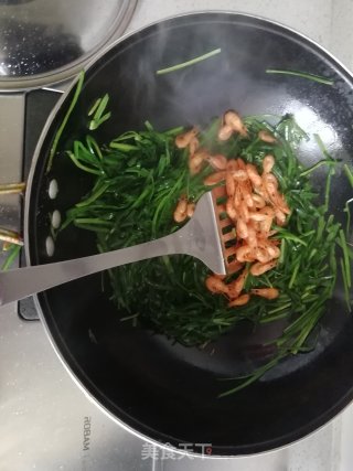 韭菜炒虾米的做法步骤：6