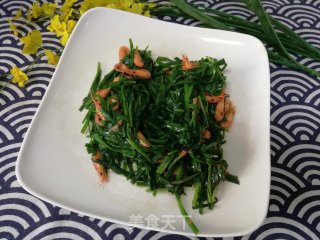 韭菜炒虾米的做法步骤：7