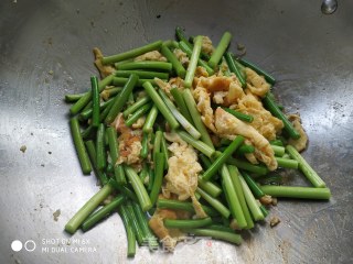 素苜蓿肉的做法步骤：6