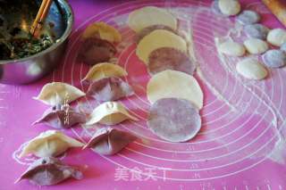 小叶山芹菜猪肉馅水饺的做法步骤：8