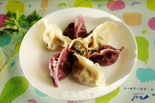 小叶山芹菜猪肉馅水饺的做法步骤：11