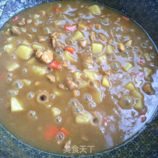 土豆鸡肉咖喱饭的做法步骤：9