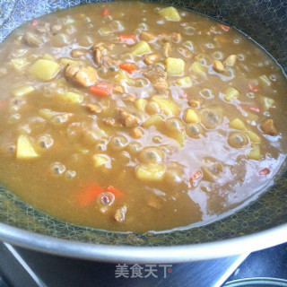 土豆鸡肉咖喱饭的做法步骤：10