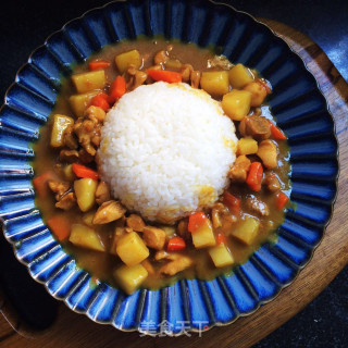 土豆鸡肉咖喱饭的做法步骤：12
