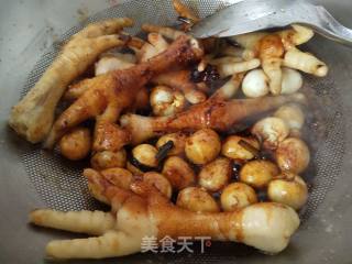 鸡爪烧鹌鹑蛋的做法步骤：5