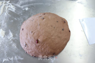 蔓越莓可可豆欧包的做法步骤：16