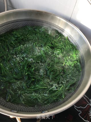 凉拌海蓬菜的做法步骤：5