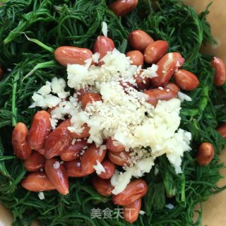 凉拌海蓬菜的做法步骤：13