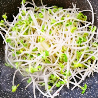 炒黄豆芽的做法步骤：5