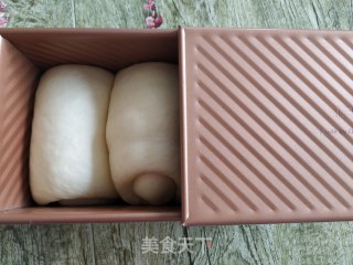 汤种吐司的做法步骤：9