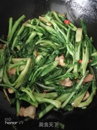 香辣菜心的做法步骤：7