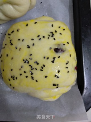 蔓越莓面包的做法步骤：9