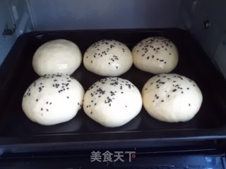 无油牛奶豆沙馅面包的做法步骤：8