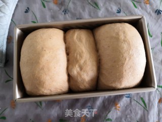 可可全麦吐司的做法步骤：9