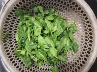 清炒豆苗的做法步骤：2