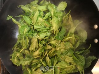清炒豆苗的做法步骤：4