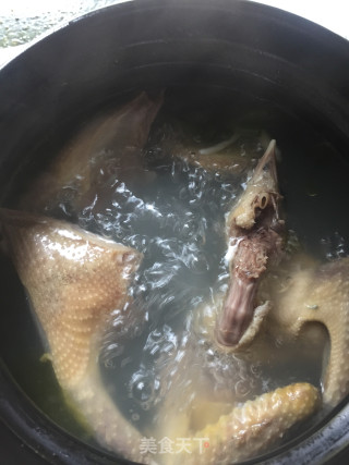 南瓜鸽子汤的做法步骤：1