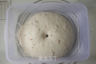 全麦核桃软欧包的做法步骤：8