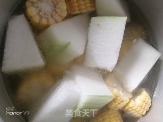 排骨冬瓜玉米汤的做法步骤：5