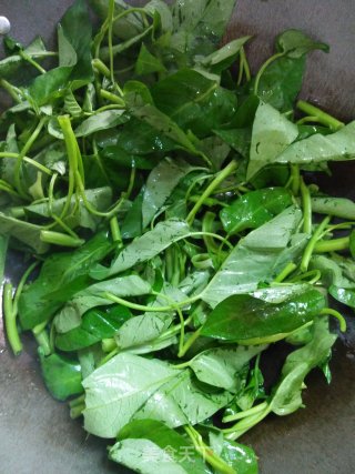 素炒腾腾菜的做法步骤：5