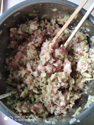 芸豆猪肉包子的做法步骤：5